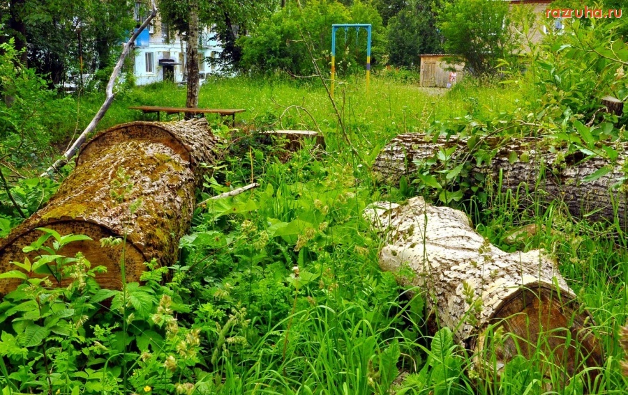 Александровск - Узнай свой двор