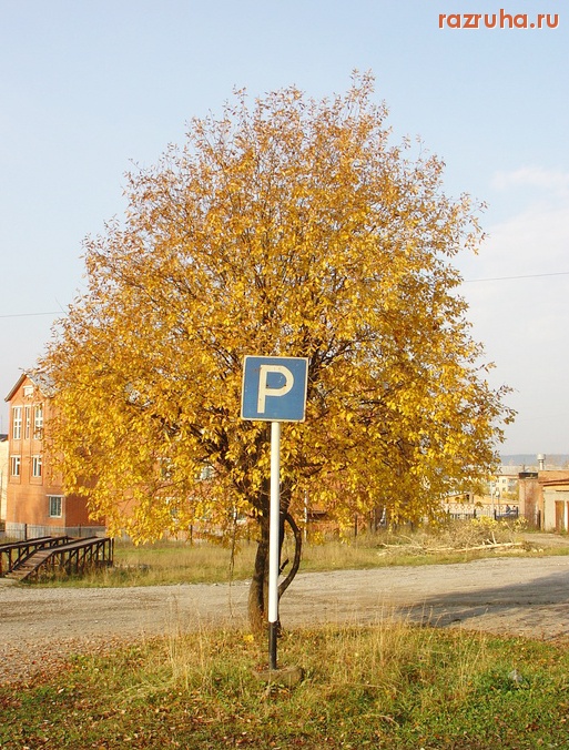 Александровск - Без комментариев...