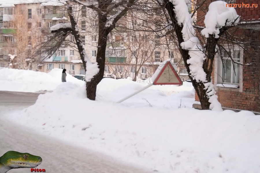 Александровск - Дорожные знаки