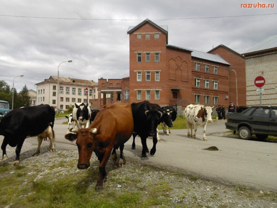 Александровск - 