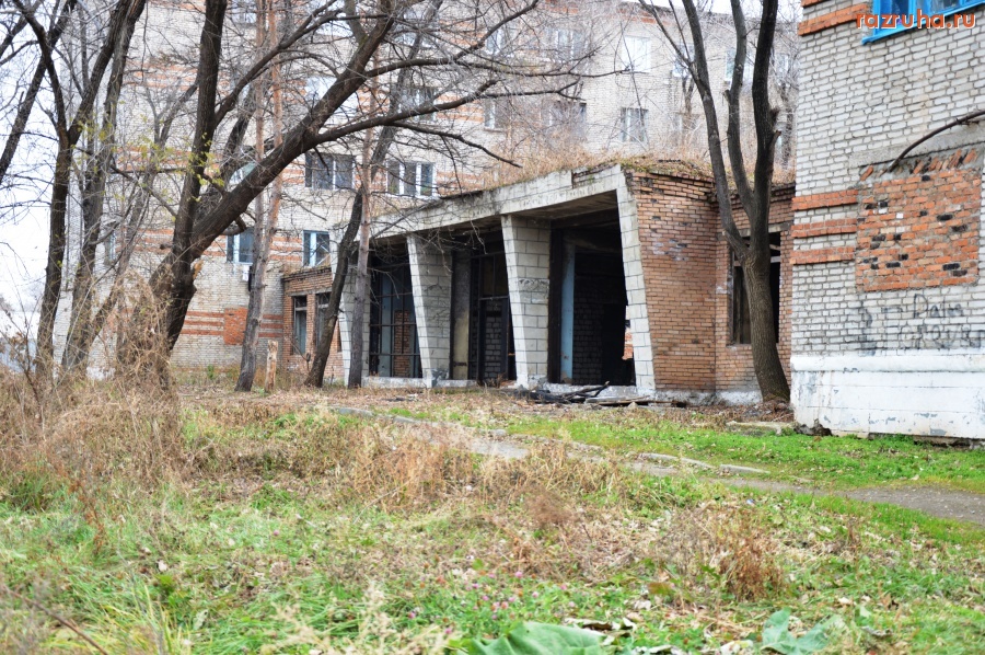 Лесозаводск - это была библиотека