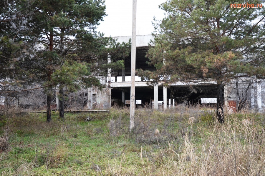 Лесозаводск - это была столовая биохимического завода