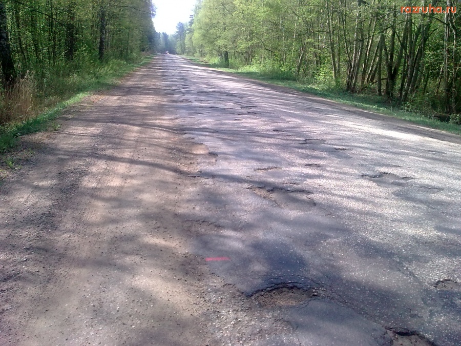 Псковская область - Платная дорога А117