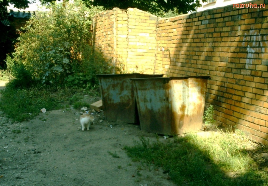 Печоры - Помойка