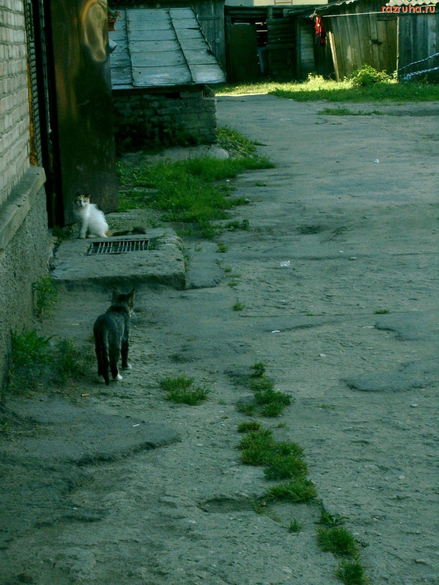 Печоры - Подъезд