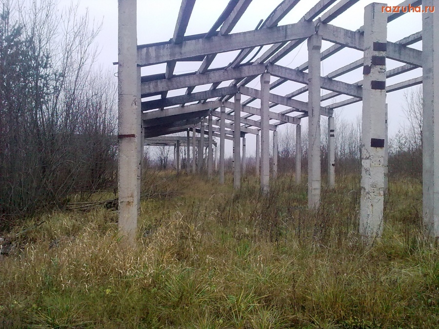 Красногородск - Ферма