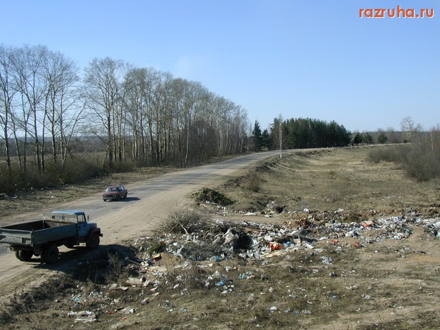 Новоржев - трасса около городской свалки