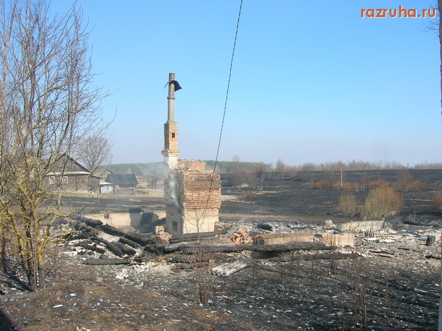 Новоржев - палы травы 2010