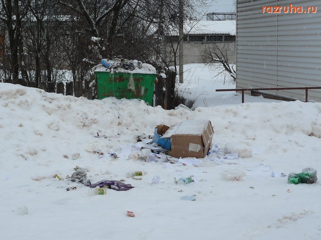 Новоржев - мусорный контейнер