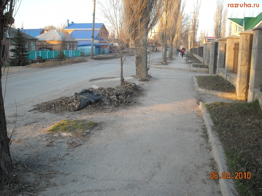 Волгодонск - Осенние листья.