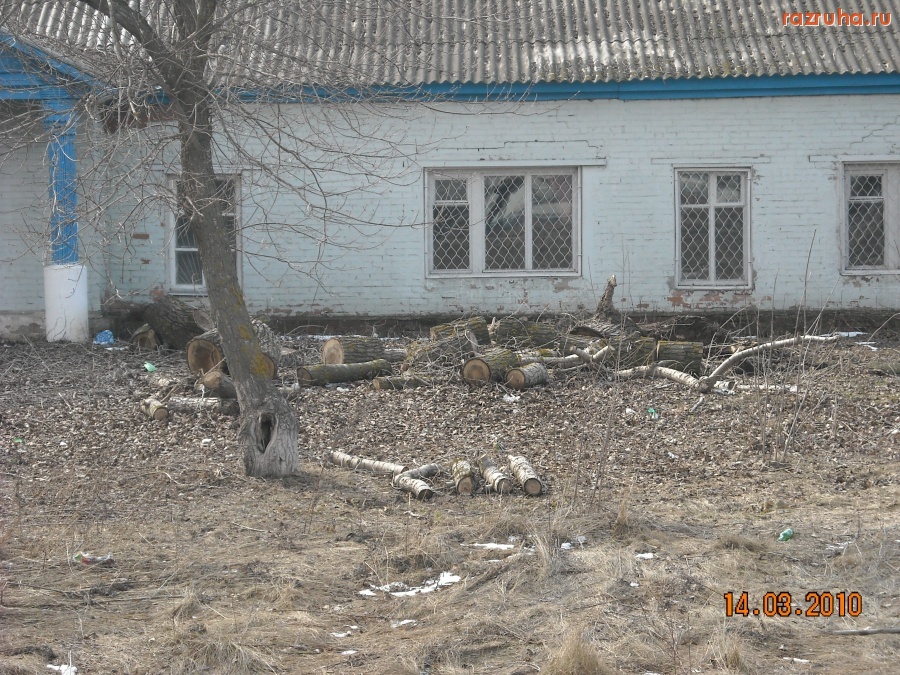 Волгодонск - они РАБОТАЮТ!!!