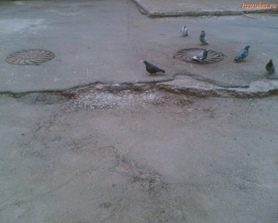 Волгодонск - Здесь гуляют дети...