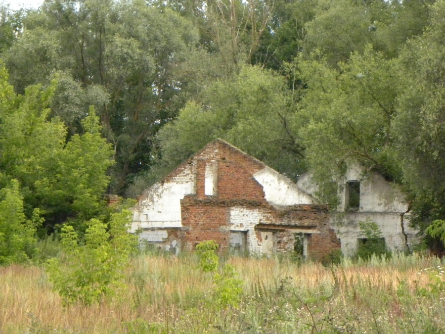 Ермишь - Руины крахмального завода