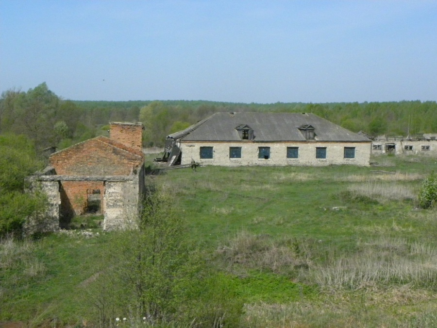 Ермишь - Развалины производства в Мердуши