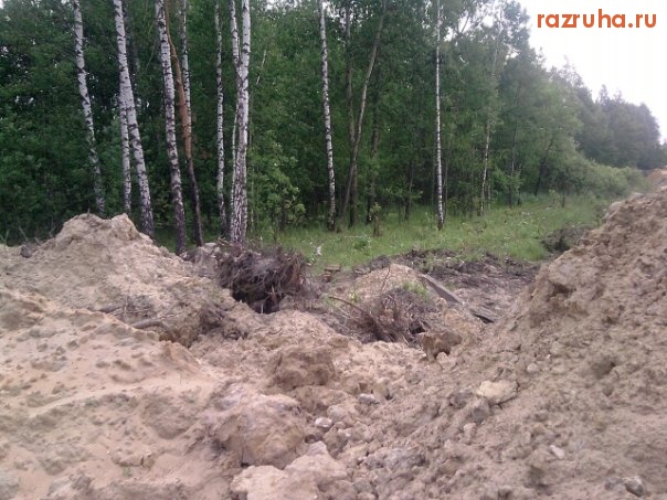 Электроугли - Вырубка леса ради строительства АЗС