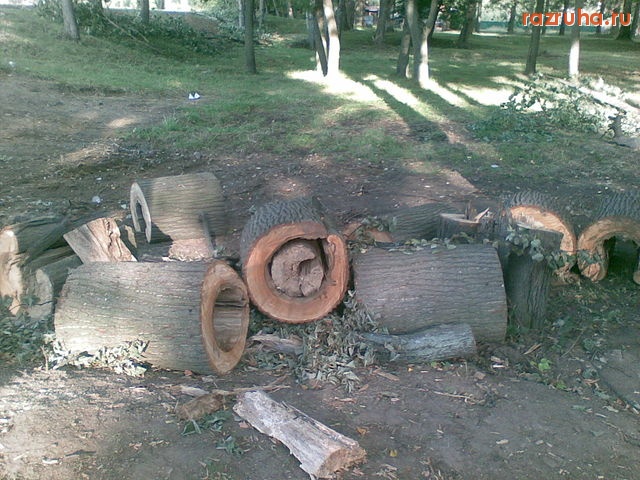 Электроугли - спилил и забыл