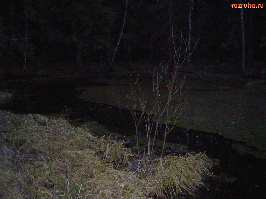 Электроугли - Наш край