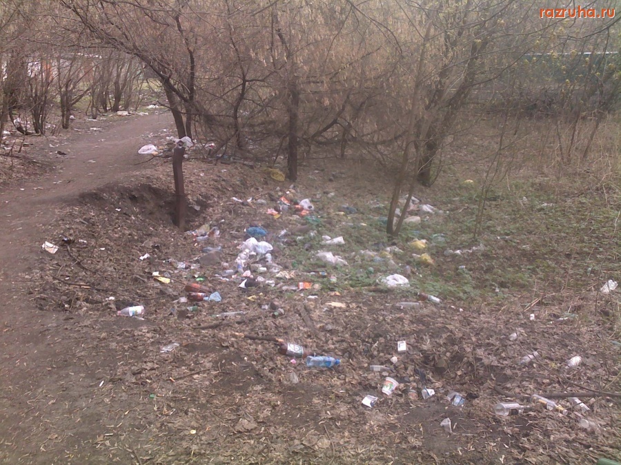 Электроугли - мусор на пересечении Полевой и Центральной