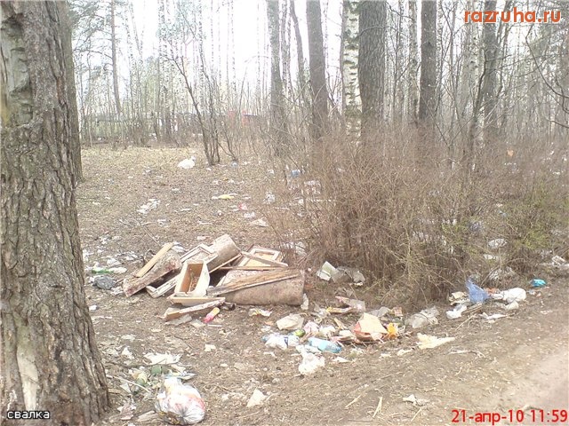 Электроугли - пересечение 1 и 2 Лесных улиц