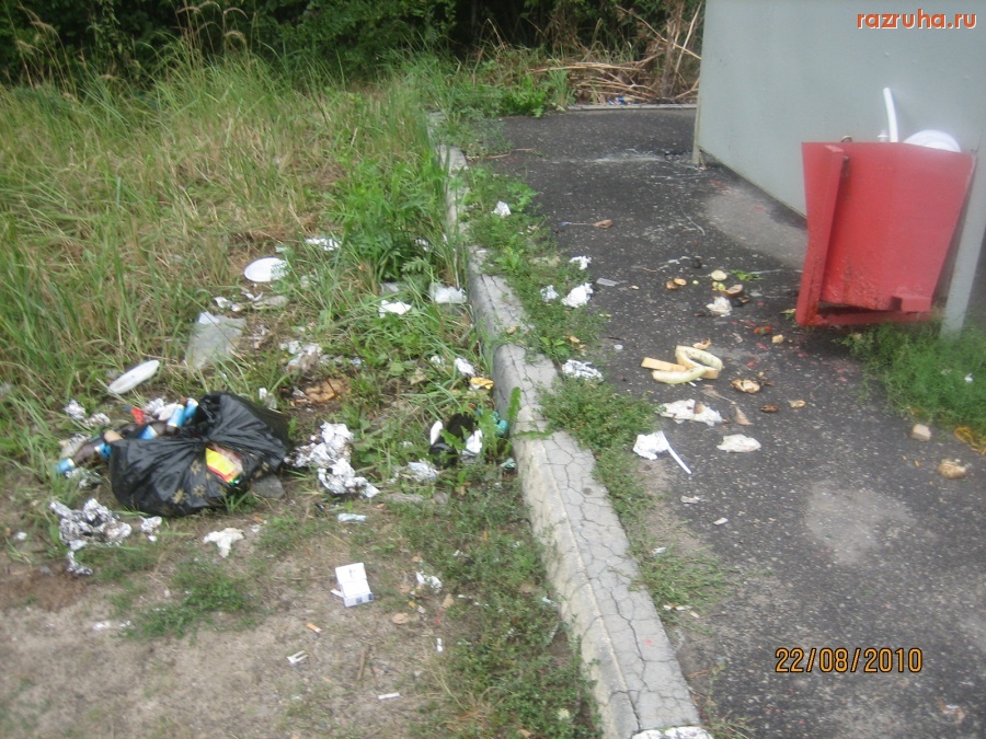 Электроугли - ДИКСИ