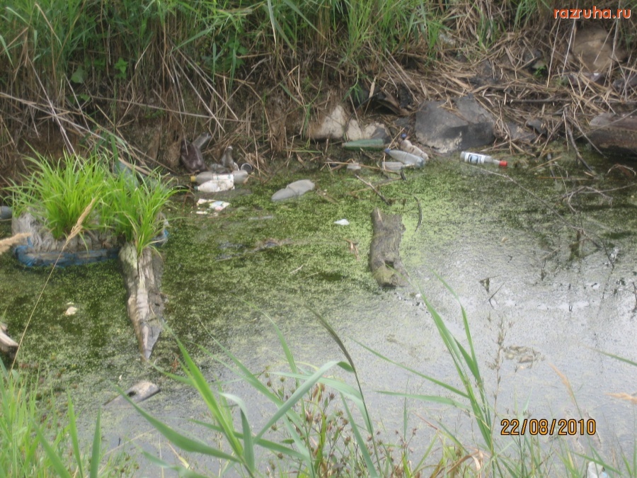 Электроугли - каменский пруд