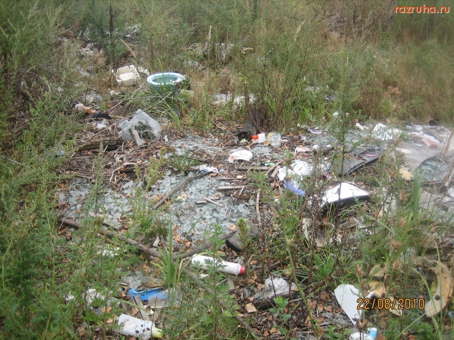 Электроугли - Около очистных сооружений