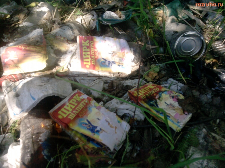 Электроугли - Цирк уехал, мусор остался2