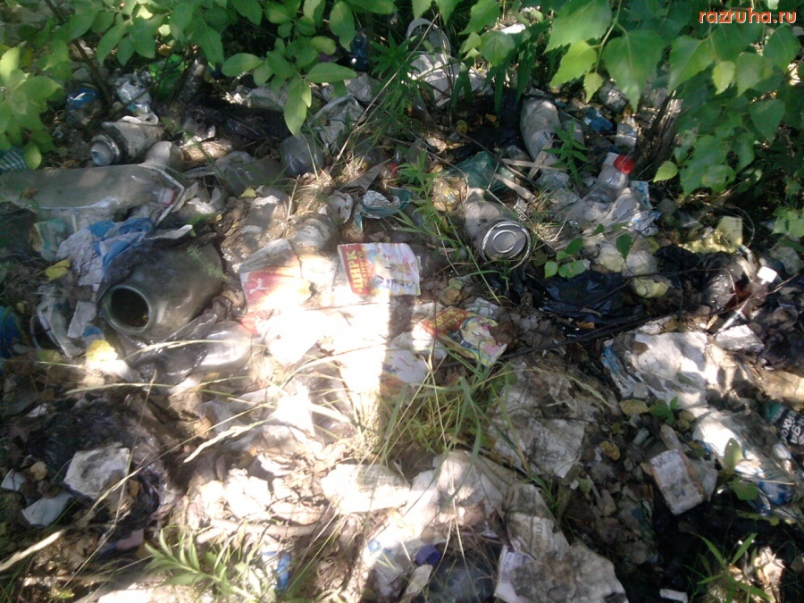 Электроугли - Цирк уехал, мусор остался3