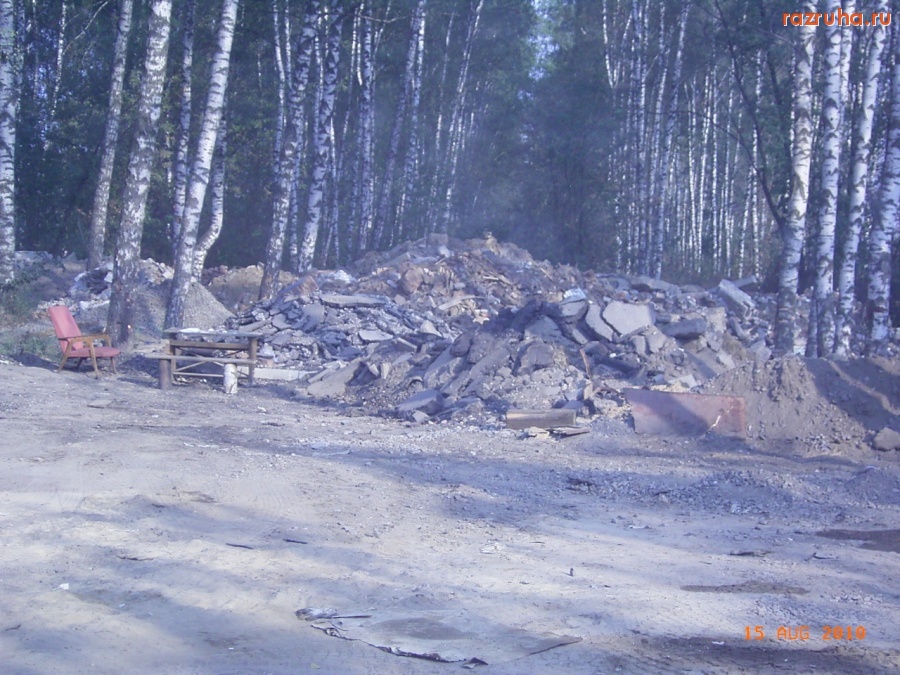 Электроугли - Кучка мусора, принадлежащая мэру города Электроугли