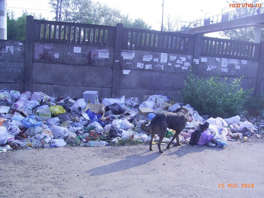 Электроугли - Лицо города Электроугли