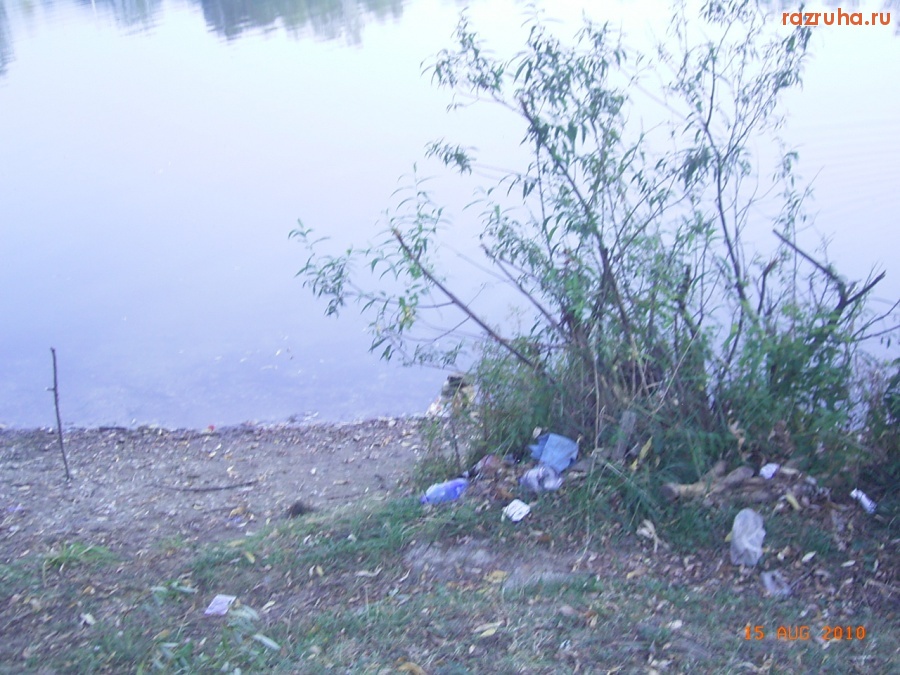 Электроугли - Берег Каменского пруда, находящегося в центре города Электроугли