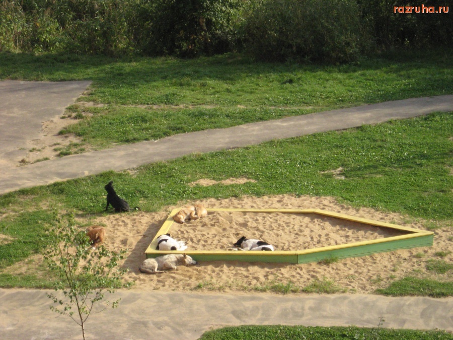 Электроугли - Сегодня площадка наша!