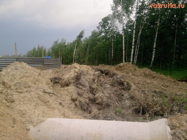 Электроугли - Вырубка леса ради строительства АЗС