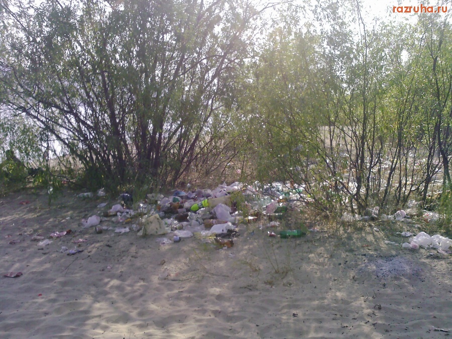 Прибрежный - Мусорка на пляже. река Волга.