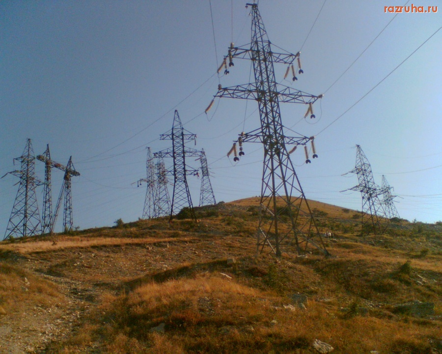 Разное - кушать всем хочется