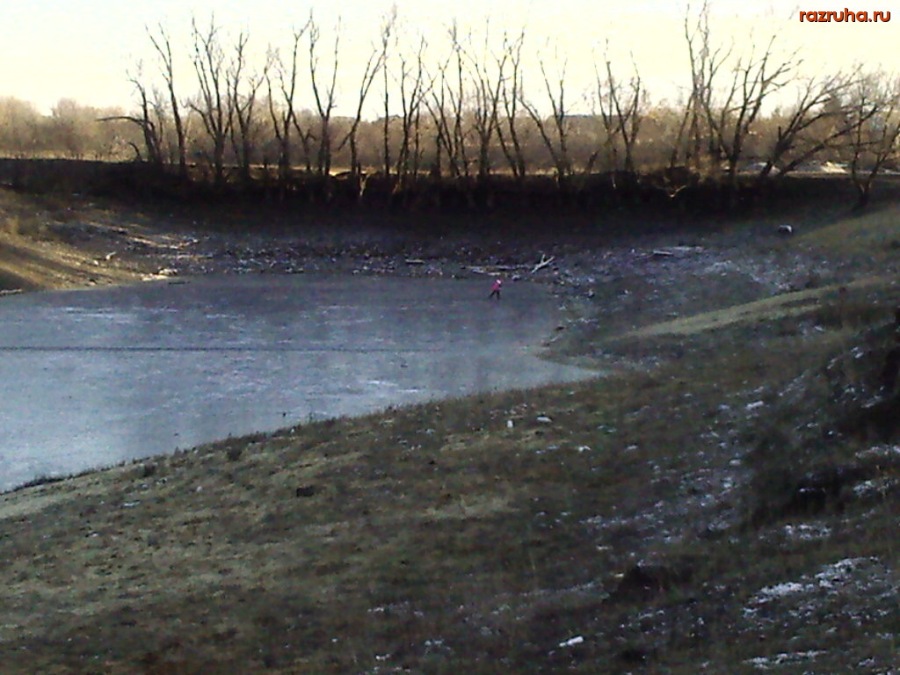 Ртищево - природа