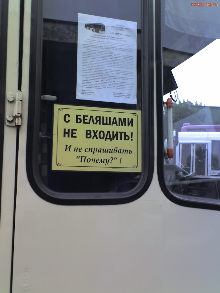 Смешное - Николаевский автобус