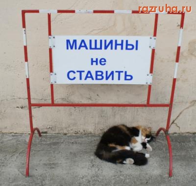 Смешное - Занято !