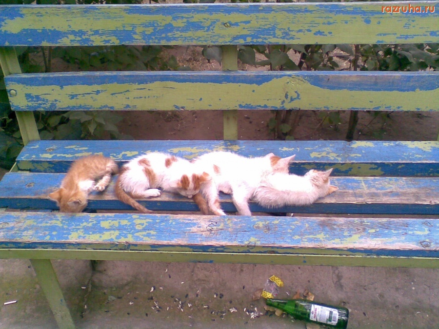 Смешное - С одной бутылки пива размазало четверых