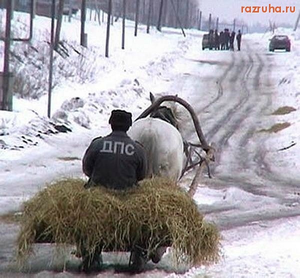 Смешное - ДПС