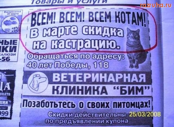 Смешное - Коты берегитесь!