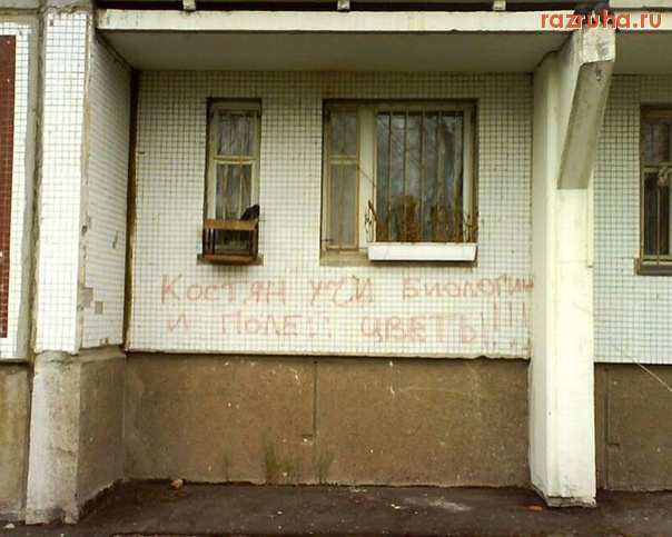 Смешное - Костян,учи биологию!