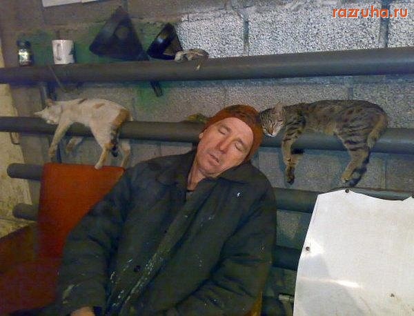 Смешное - вот так вот мы работаем)