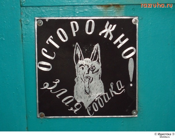 Смешное - злая собака)