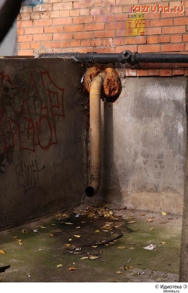 Смешное - странная турба