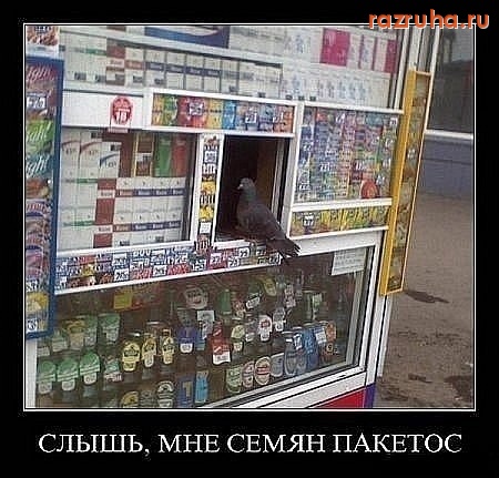 Смешное - семак дай)