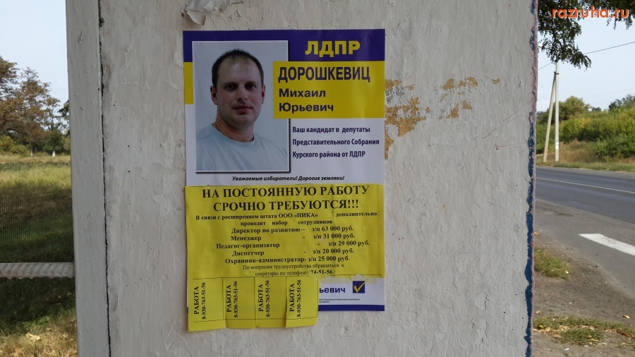 Смешное - Выборы прошли можно и опубликовать