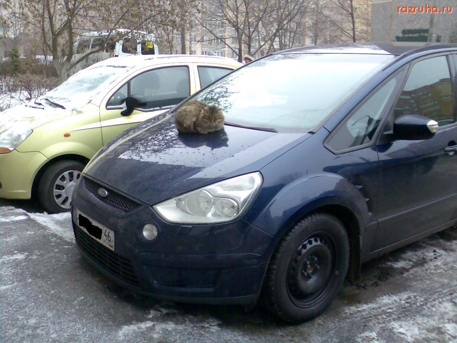 Смешное - Уселась