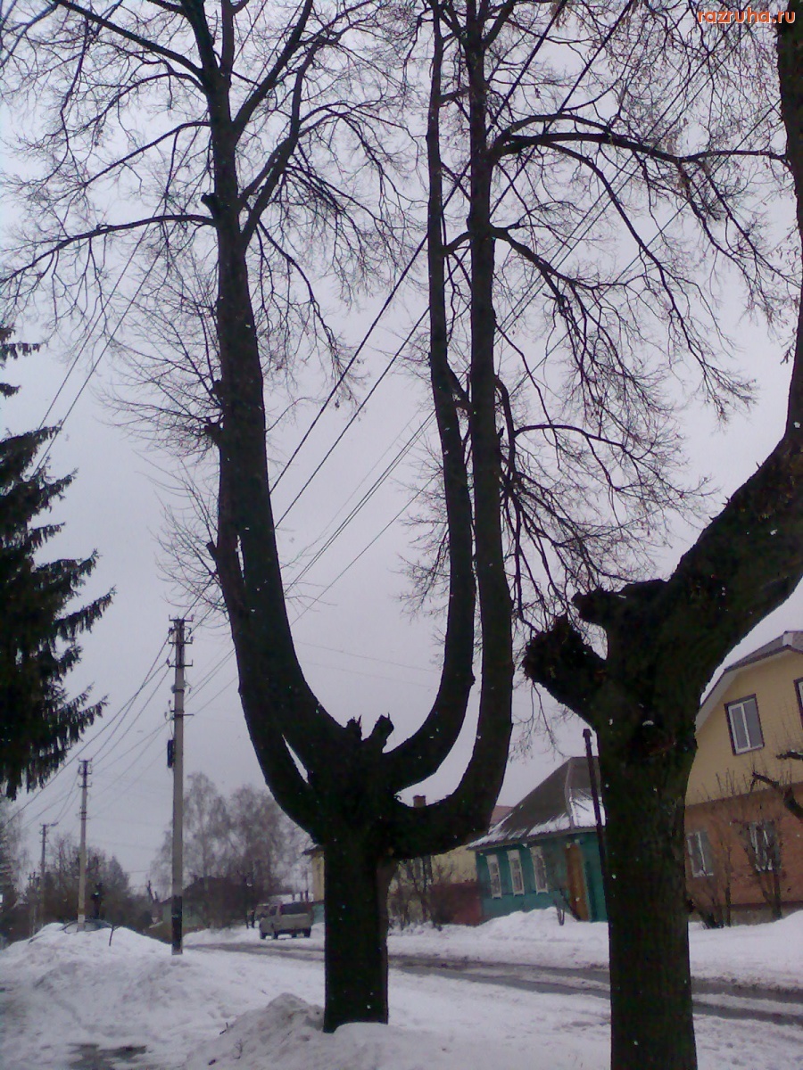 Смешное - Пропусти провода