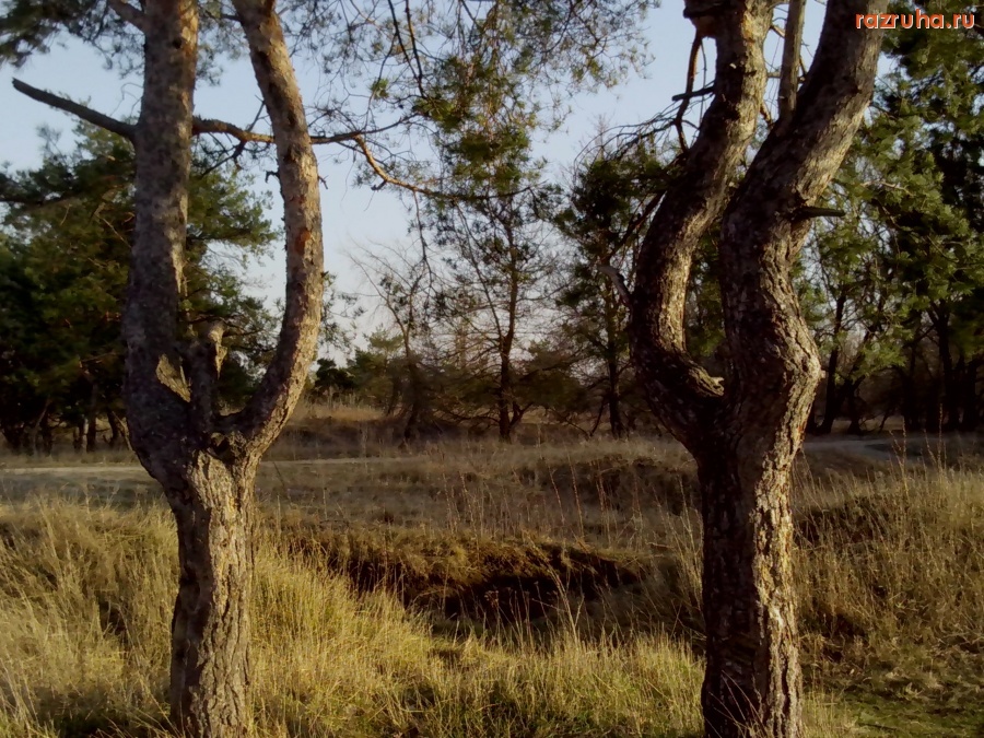 Смешное - Мальчик+девочка